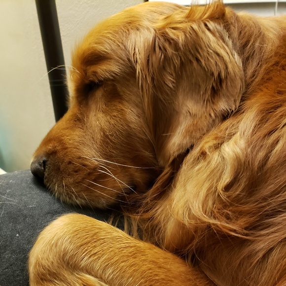 Meet your Posher, Kim - Picture 2 of 5